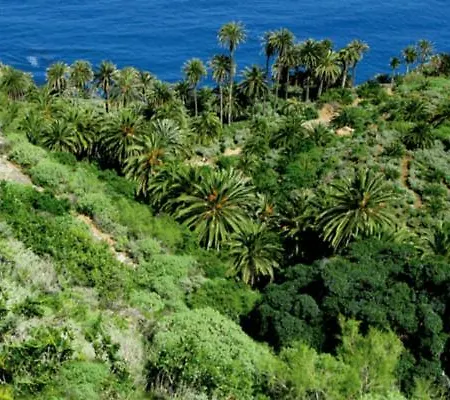 Teleworking Panoramablick Neuwertig Grosse *