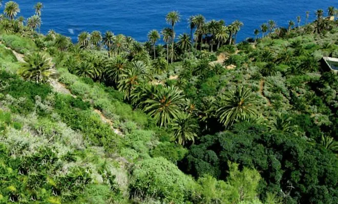 Teleworking Panoramablick Neuwertig Grosse *